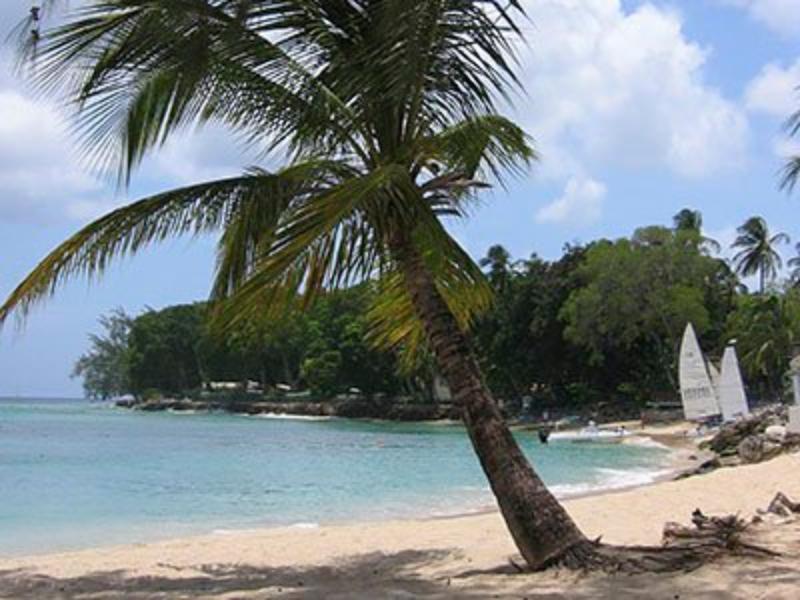 Starfish Discovery Bay Holetown Екстер'єр фото
